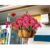 imageAmyHomie 20 Bundles Artificial Flowers for Outdoor Outside Spring Summer Decoration UV Resistant Faux Flowers No Fade Fake Plastic Plants Garden Porch Window Box DecoratingFuchsia