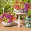 imageAmyHomie 20 Bundles Artificial Flowers for Outdoor Outside Spring Summer Decoration UV Resistant Faux Flowers No Fade Fake Plastic Plants Garden Porch Window Box DecoratingRed Purple Yellow Orange