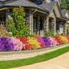 imageAmyHomie 20 Bundles Artificial Flowers for Outdoor Outside Spring Summer Decoration UV Resistant Faux Flowers No Fade Fake Plastic Plants Garden Porch Window Box DecoratingAmulti