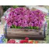 imageAmyHomie 20 Bundles Artificial Flowers for Outdoor Outside Spring Summer Decoration UV Resistant Faux Flowers No Fade Fake Plastic Plants Garden Porch Window Box DecoratingPurple