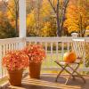 imageAmyHomie 20 Bundles Artificial Flowers for Outdoor Outside Spring Summer Decoration UV Resistant Faux Flowers No Fade Fake Plastic Plants Garden Porch Window Box DecoratingFall Orange Yellow