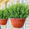 imageAmyHomie 20 Bundles Artificial Flowers for Outdoor Outside Spring Summer Decoration UV Resistant Faux Flowers No Fade Fake Plastic Plants Garden Porch Window Box DecoratingGreeneucalyptus