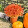 imageAmyHomie 20 Bundles Artificial Flowers for Outdoor Outside Spring Summer Decoration UV Resistant Faux Flowers No Fade Fake Plastic Plants Garden Porch Window Box DecoratingFall Orangeeucalyptus
