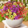 imageAmyHomie 20 Bundles Artificial Flowers for Outdoor Outside Spring Summer Decoration UV Resistant Faux Flowers No Fade Fake Plastic Plants Garden Porch Window Box DecoratingRed Purple Yellow Orange