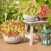 imageAmyHomie 20 Bundles Artificial Flowers for Outdoor Outside Spring Summer Decoration UV Resistant Faux Flowers No Fade Fake Plastic Plants Garden Porch Window Box DecoratingYellow Orange
