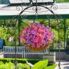 imageAmyHomie 20 Bundles Artificial Flowers for Outdoor Outside Spring Summer Decoration UV Resistant Faux Flowers No Fade Fake Plastic Plants Garden Porch Window Box DecoratingFuchsia Purple