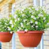 imageAmyHomie 20 Bundles Artificial Flowers for Outdoor Outside Spring Summer Decoration UV Resistant Faux Flowers No Fade Fake Plastic Plants Garden Porch Window Box DecoratingWhiteeucalyptus