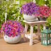 imageAmyHomie 20 Bundles Artificial Flowers for Outdoor Outside Spring Summer Decoration UV Resistant Faux Flowers No Fade Fake Plastic Plants Garden Porch Window Box DecoratingFuchsia Purple
