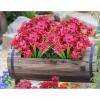 imageAmyHomie 20 Bundles Artificial Flowers for Outdoor Outside Spring Summer Decoration UV Resistant Faux Flowers No Fade Fake Plastic Plants Garden Porch Window Box DecoratingFuchsia