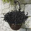 imageAmyHomie 20 Bundles Artificial Flowers for Outdoor Outside Spring Summer Decoration UV Resistant Faux Flowers No Fade Fake Plastic Plants Garden Porch Window Box DecoratingBlackeucalyptus