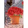 imageAmyHomie 20 Bundles Artificial Flowers for Outdoor Outside Spring Summer Decoration UV Resistant Faux Flowers No Fade Fake Plastic Plants Garden Porch Window Box DecoratingRed