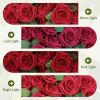 imageAmyHomie Artificial Flower Ivory Rose 25pcs Real Looking Fake Roses wStem for DIY Wedding Bouquets Centerpieces Arrangements Party Baby Shower Home DecorationsDark Red