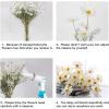 imageAmyHomie Artificial Flowers10 pcs Silk Daisy Artificial Gerber Daisy for Home Decoration Fake Wildflowers Spring Flowers for Wedding DecorationMilk WhiteMilk White