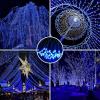 imageAmyHomie Warm White Christmas Lights 108Ft 300LED Plugin Christmas String Lights8 Modes Waterproof Fairy String Lights for Outdoor ampamp Indoor Christmas Tree Home Patio Garden Party Wedding DecorBlue