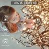 imageAmyHomie Warm White Christmas Lights 108Ft 300LED Plugin Christmas String Lights8 Modes Waterproof Fairy String Lights for Outdoor ampamp Indoor Christmas Tree Home Patio Garden Party Wedding DecorWarm White  Multicolor