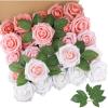 Shades of Blush