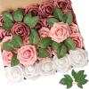 Shades of Rose