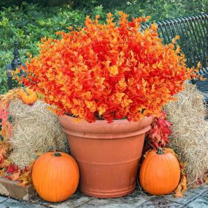 imageAmyHomie 20 Bundles Artificial Flowers for Outdoor Outside Spring Summer Decoration UV Resistant Faux Flowers No Fade Fake Plastic Plants Garden Porch Window Box DecoratingOrangeeucalyptus