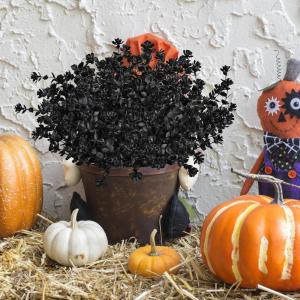 imageAmyHomie 20 Bundles Artificial Flowers for Outdoor Outside Spring Summer Decoration UV Resistant Faux Flowers No Fade Fake Plastic Plants Garden Porch Window Box DecoratingBlackeucalyptus