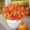 imageAmyHomie 32 Bundles Artificial Fall Flowers for Outdoors