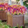 imageAmyHomie 36 Bundles Orange Fall Artificial Flowers for Outdoor Fall Decor
