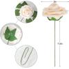 imageAmyHomie Champagne Artificial Flowers Combo and Rose 25pcs Real Looking Fake Roses wStem for DIY Wedding Bouquets Centerpieces Arrangements Party Baby Shower Home Decorations