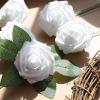imageAmyHomie White and Yellow Rose 25pcs Real Looking Fake Roses wStem for DIY Wedding Bouquets Centerpieces Arrangements Party Baby Shower Home Decorations