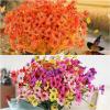 imageAmyHomie 36 Bundles Orange Fall Artificial Flowers for Outdoor Fall Decor