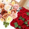 imageAmyHomie Champagne Artificial Flowers Combo and Red Rose 25pcs Real Looking Fake Roses wStem for DIY Wedding Bouquets Centerpieces Arrangements Party Baby Shower Home Decorations